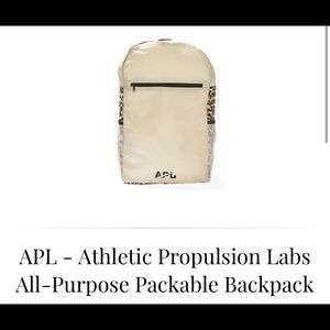 APL all-purpose packable backpack